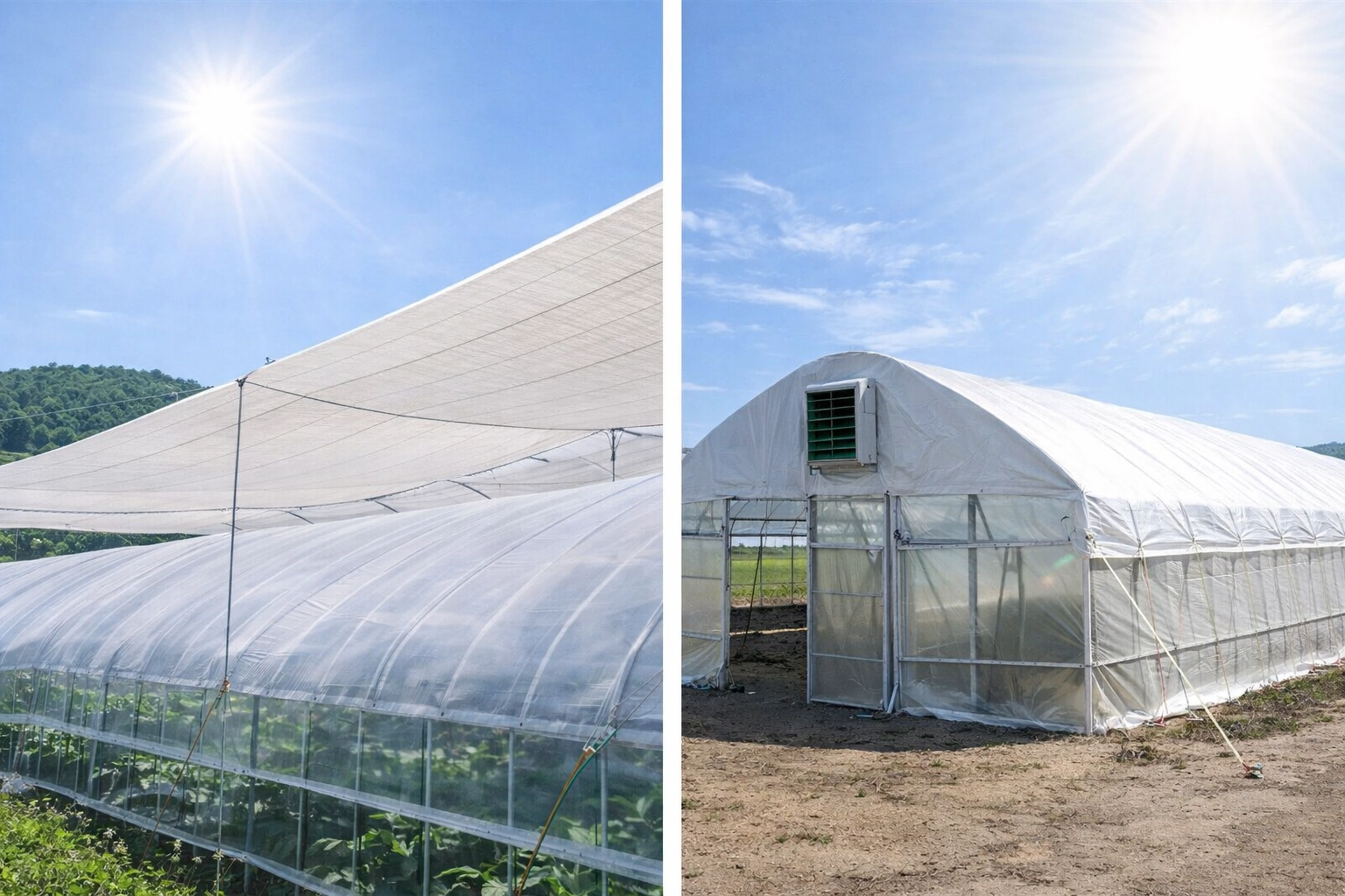 猛暑・高温エリア向け 農業用テントの設置イメージ